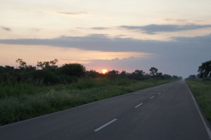 SONY DSC