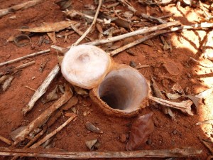 P1000807