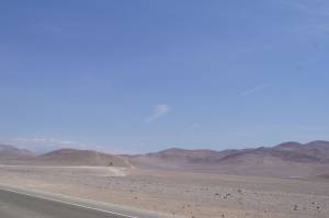 SONY DSC
