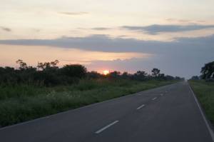 SONY DSC