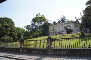 SONY DSC