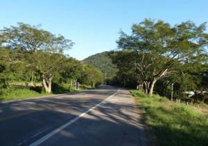 P1010866 Web