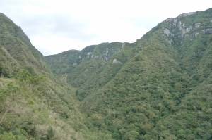 P1020063