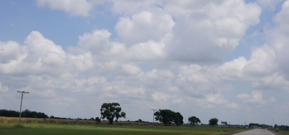 SONY DSC
