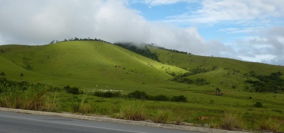 P1000580_zps354be9f2