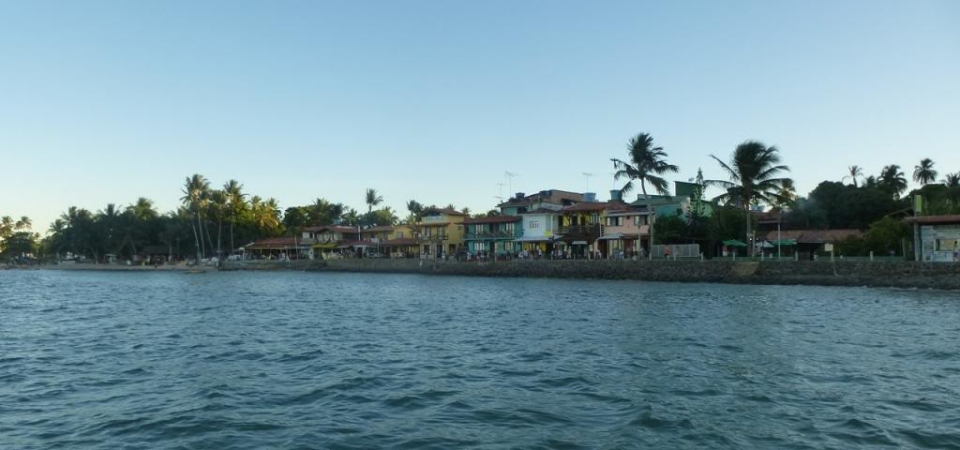 P1000608_zpsfe27f658