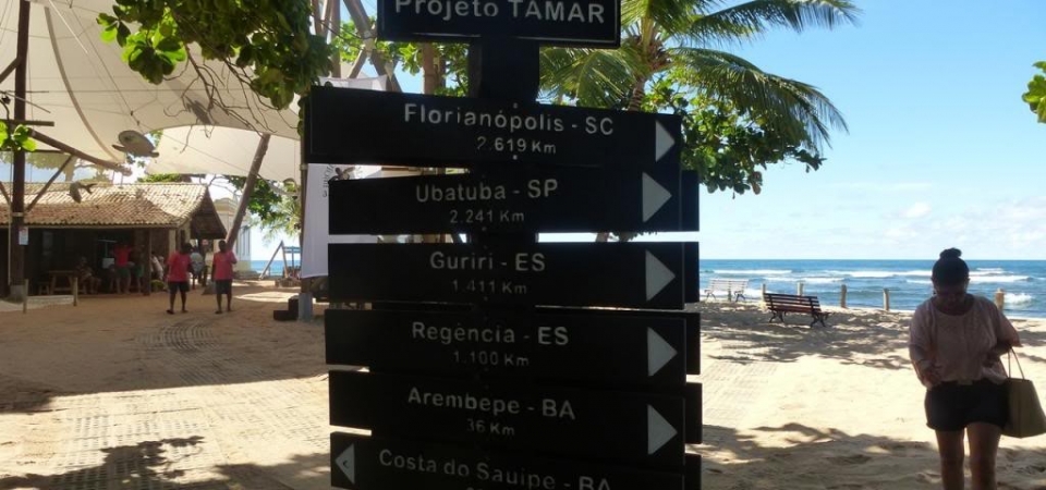 P1000625_zps56bfeba8