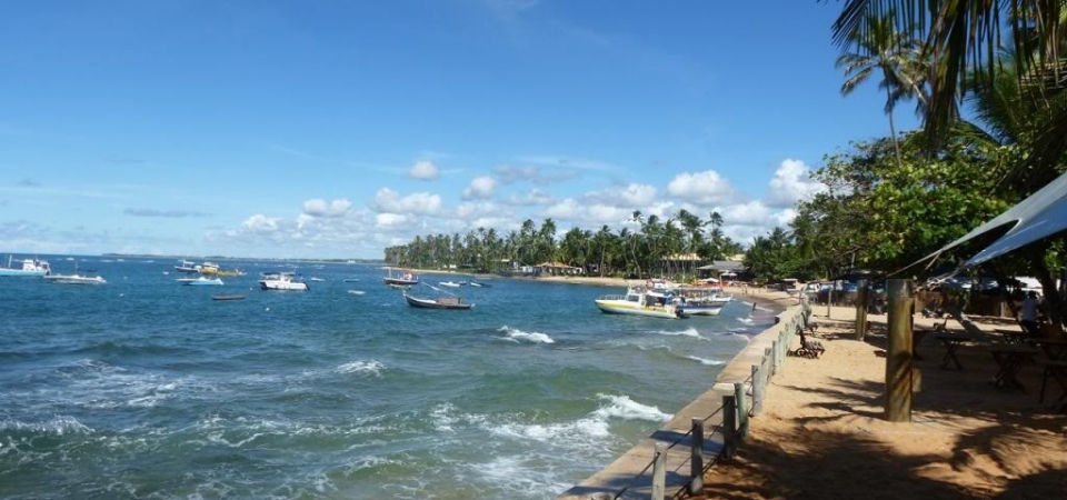 P1000627_zps1d723ade