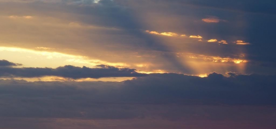 P1000956_zps5dc13938